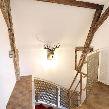 Hotel Fischer Boardinghouse Kf
